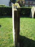 image of grave number 343928